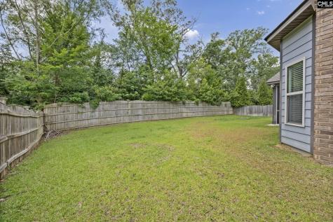 454 Hollow Cove Road Chapin SC 29036