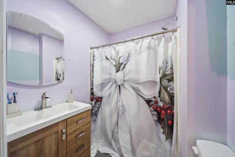 160 Whiteside Circle West Columbia SC 29169