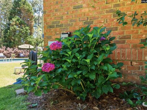 148 High Knoll Road Columbia SC 29223