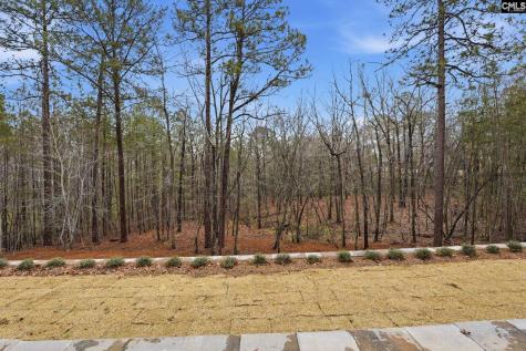 389 Highland Pointe Drive Columbia SC 29229