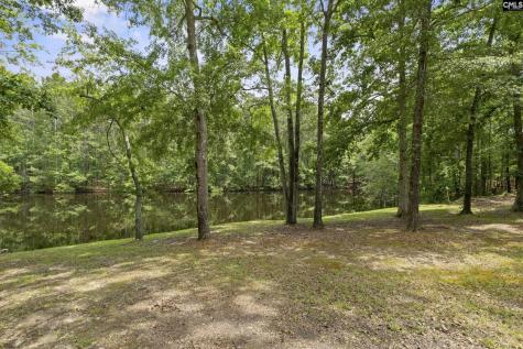 205 Soft Stone Drive Blythewood SC 29016