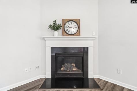 682 Bell Flower Lane Blythewood SC 29016