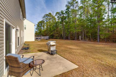 1133 Grey Pine Drive Blythewood SC 29016