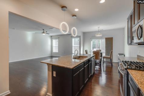 1133 Grey Pine Drive Blythewood SC 29016