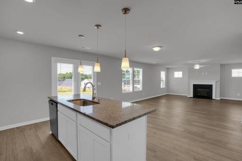 391 Aldergate Drive Lexington SC 29073
