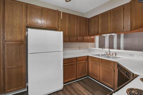 118 Fredricksburg Way Columbia SC 29210