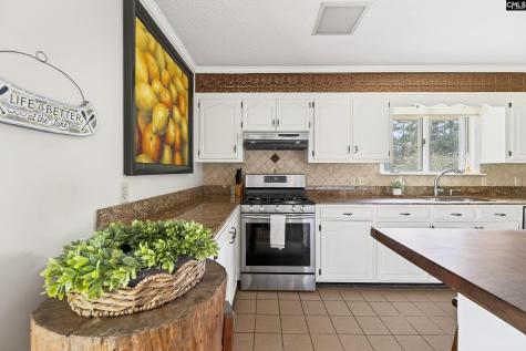 207 Cooper Drive Santee SC 29142