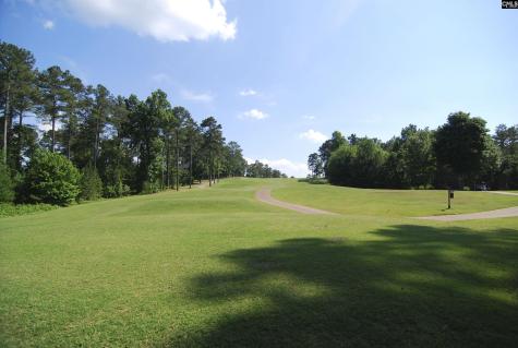 209 High Pointe Drive Blythewood SC 29016