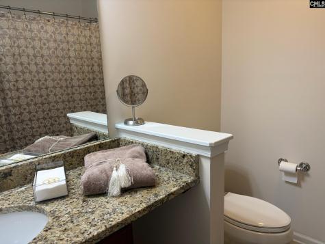 14 Pine Spur Court Blythewood SC 29016