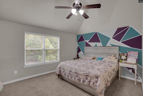 239 View Drive Blythewood SC 29016