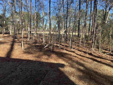218 Quiet Side Court Blythewood SC 29016