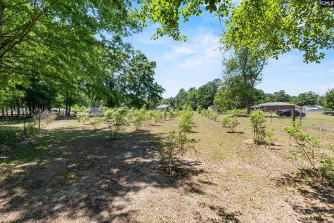 1633 Shilling Bridge Road Orangeburg SC 29115