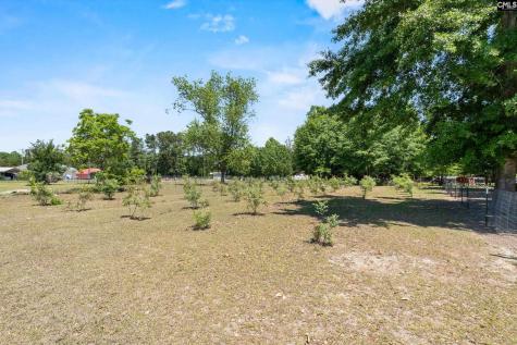 1633 Shilling Bridge Road Orangeburg SC 29115