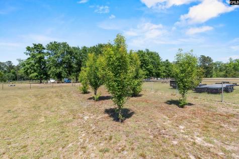 1633 Shilling Bridge Road Orangeburg SC 29115