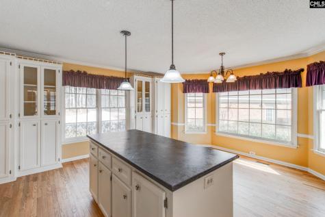 325 Derrick Lane Blythewood SC 29016