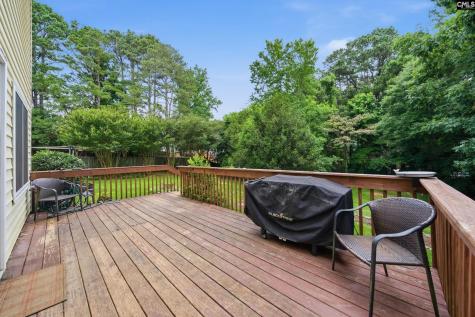 309 Gemstone Court Lexington SC 29072