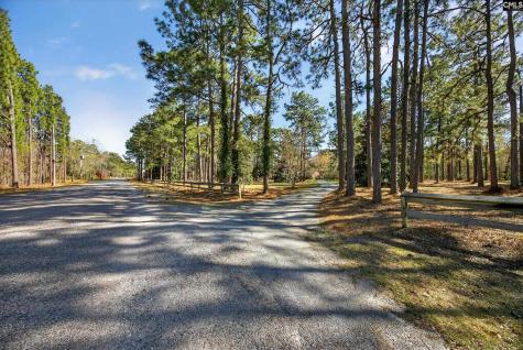 150 Satcher Road Lexington SC 29072