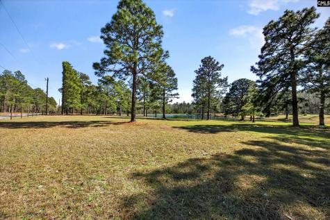 150 Satcher Road Lexington SC 29072