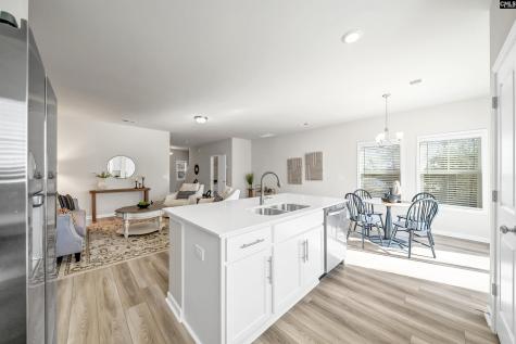 216 Carillo Drive Columbia SC 29223