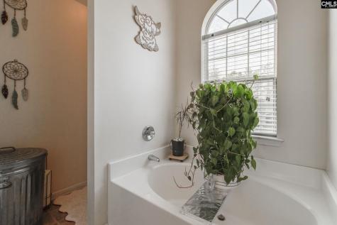 502 Whitewater Drive Irmo SC 29063