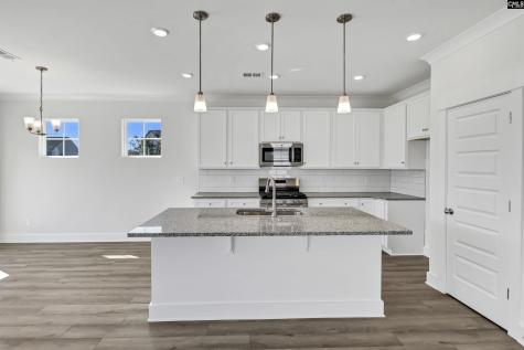 608 Thunder Gulch Avenue Lexington SC 29073