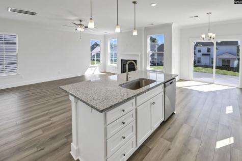 608 Thunder Gulch Avenue Lexington SC 29073