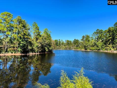 608 Thunder Gulch Avenue Lexington SC 29073