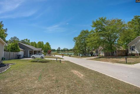 225 Burma Road Lexington SC 29072
