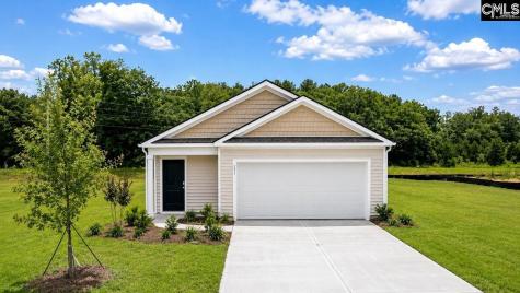 131 Brooks Drive Manning SC 29059