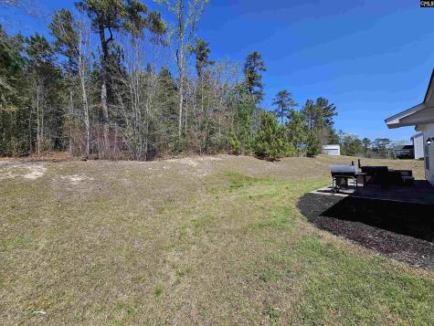 114 Tall Pines Road Gaston SC 29053