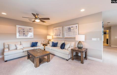 393 Mont Haven Place Lexington SC 29072