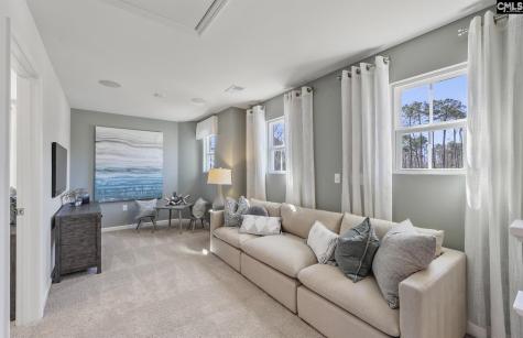 393 Mont Haven Place Lexington SC 29072