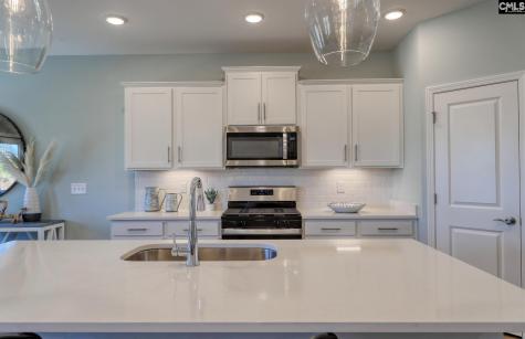 393 Mont Haven Place Lexington SC 29072