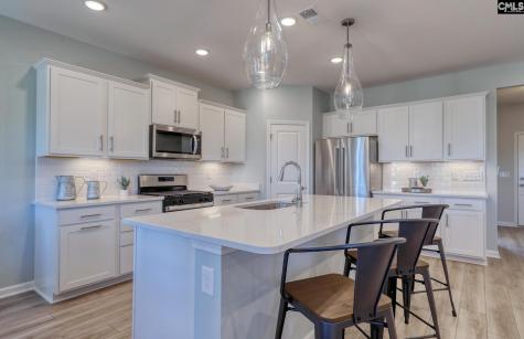 393 Mont Haven Place Lexington SC 29072