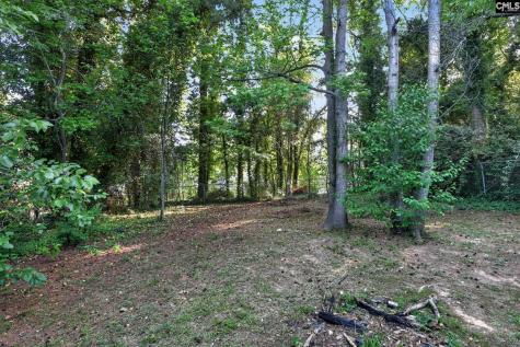 2304 Pelican Drive Columbia SC 29203