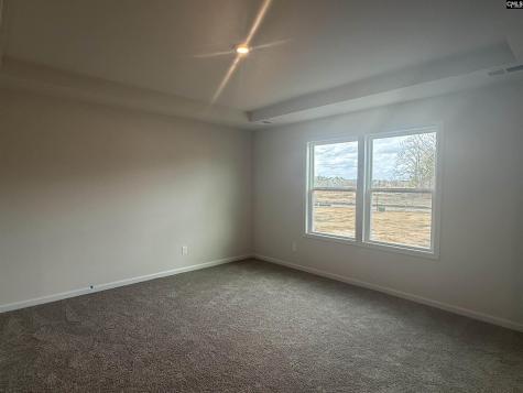 562 Swamp Grass Drive Columbia SC 29209