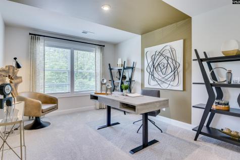 27 Spider Web Court Blythewood SC 29016