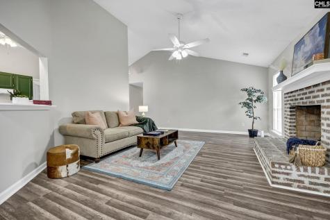 875 Bentley Drive Lexington SC 29072