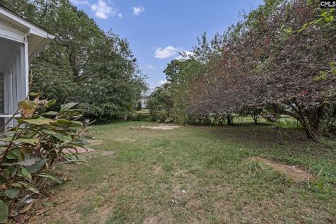 875 Bentley Drive Lexington SC 29072