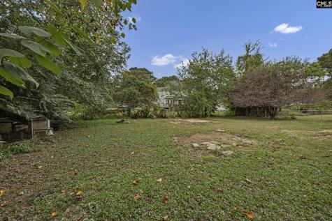 875 Bentley Drive Lexington SC 29072