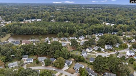 875 Bentley Drive Lexington SC 29072