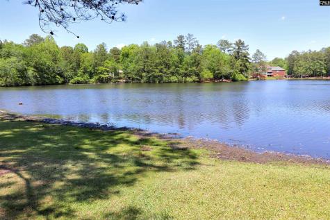 462 N High Duck Trail Blythewood SC 29016