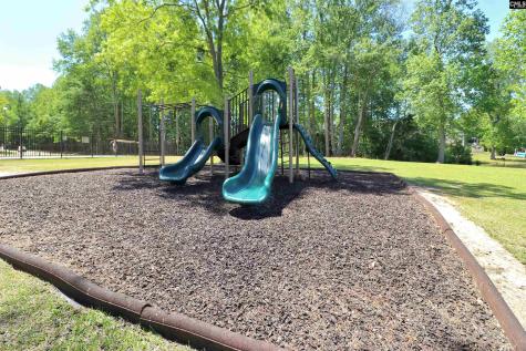 462 N High Duck Trail Blythewood SC 29016