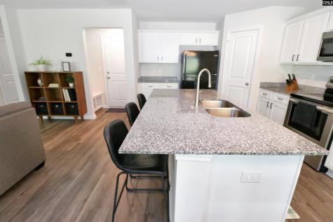 462 N High Duck Trail Blythewood SC 29016