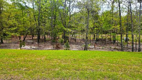 304 Frog Leap Road Blythewood SC 29016