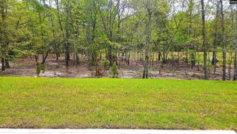 304 Frog Leap Road Blythewood SC 29016