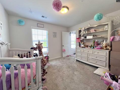526 Litchfield Lane Lexington SC 29072