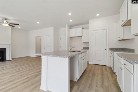 208 Ruby Prince Way Lexington SC 29073