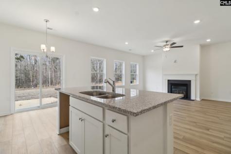 208 Ruby Prince Way Lexington SC 29073