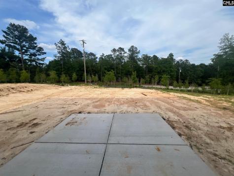 513 Frosty Lane Lexington SC 29072